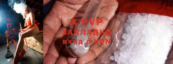 spice Новозыбков