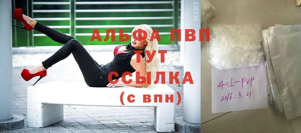 спиды Новокубанск