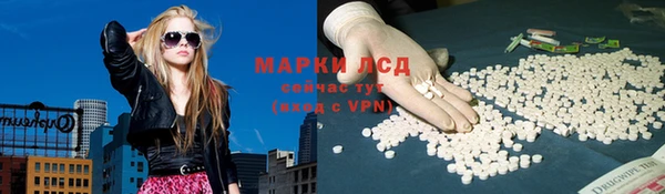 spice Новозыбков