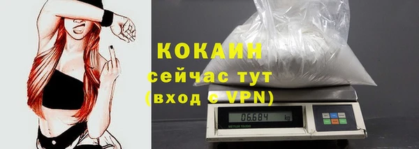 spice Новозыбков