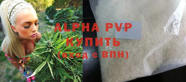 spice Новозыбков