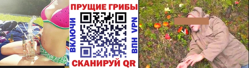 Галлюциногенные грибы прущие грибы  нарко площадка Telegram  Осташков  сколько стоит 