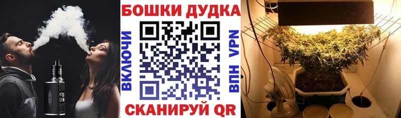 Шишки марихуана White Widow  купить наркотик  Осташков 
